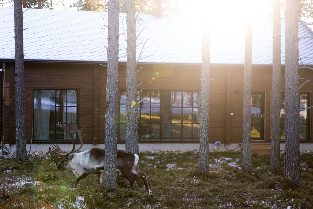 Raanakka House - Premium Villa At Levi Exterior photo